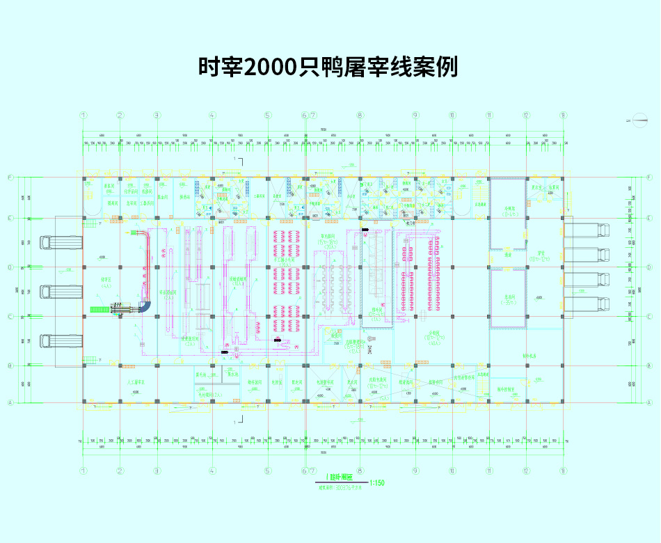 時(shí)宰2000只鴨屠宰線(xiàn)案例