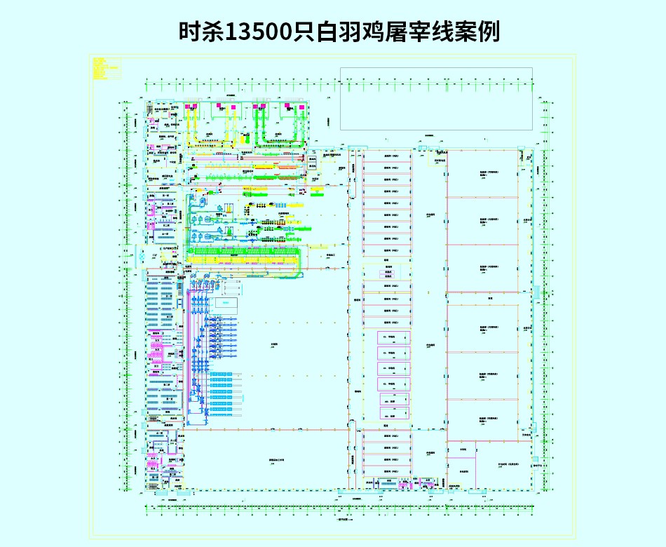 時(shí)殺13500只白羽雞屠宰線(xiàn)案例