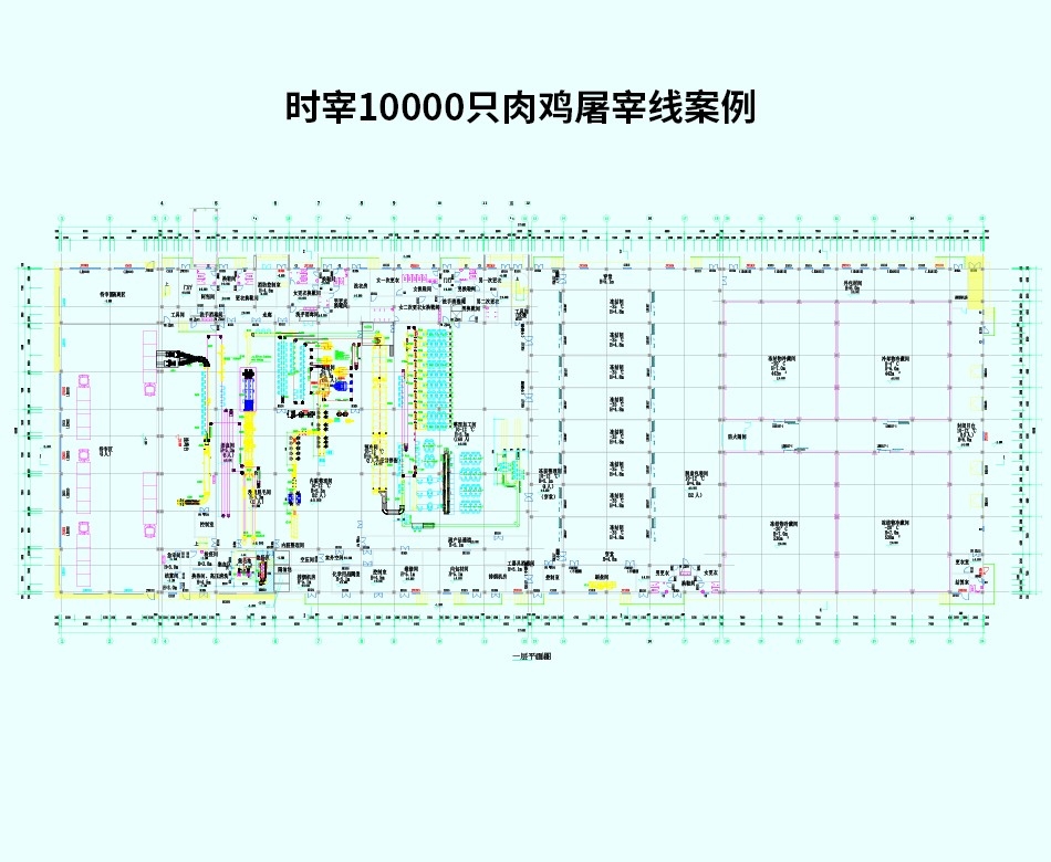 時宰10000只肉雞屠宰線案例