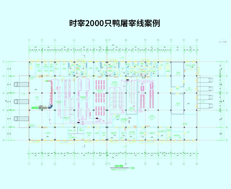 時宰2000只鴨屠宰線案例