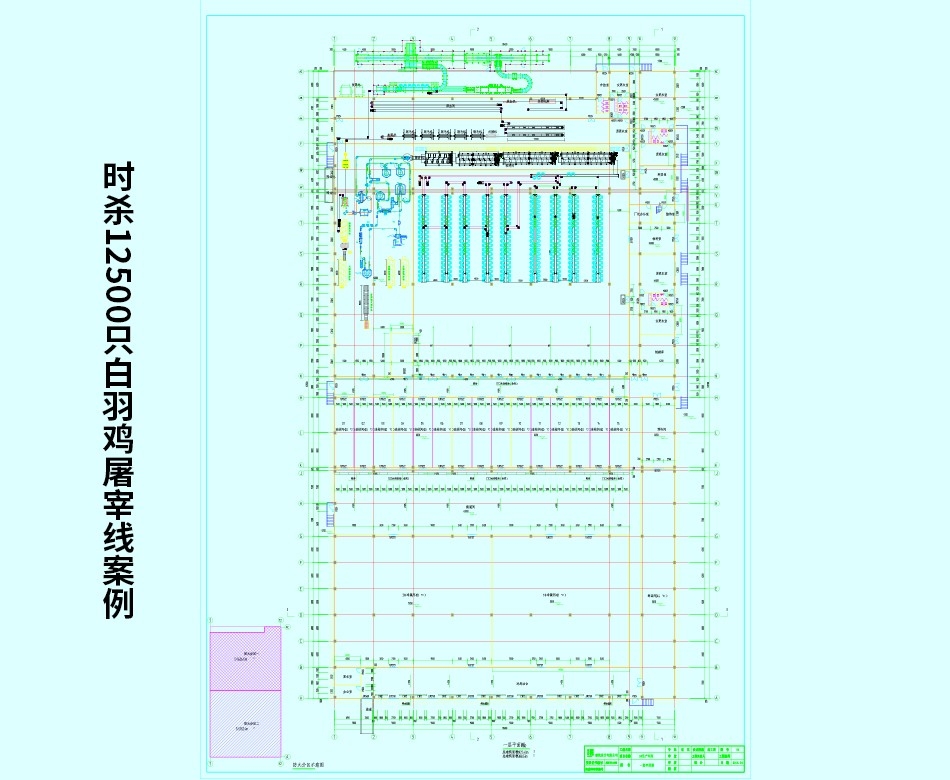 時(shí)殺12500只白羽雞屠宰線案例